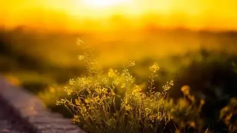 LPL选手“邪恶天才”赛场争议行为引发热议，经纪人回应难平网友舆论发酵